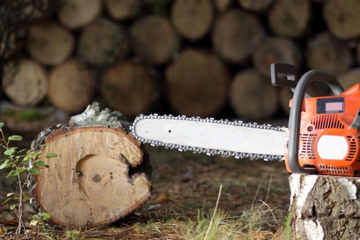 Élagage et abattage Orléans