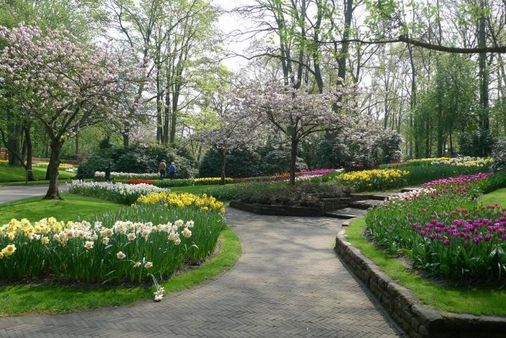 Aménagement de jardins Orléans