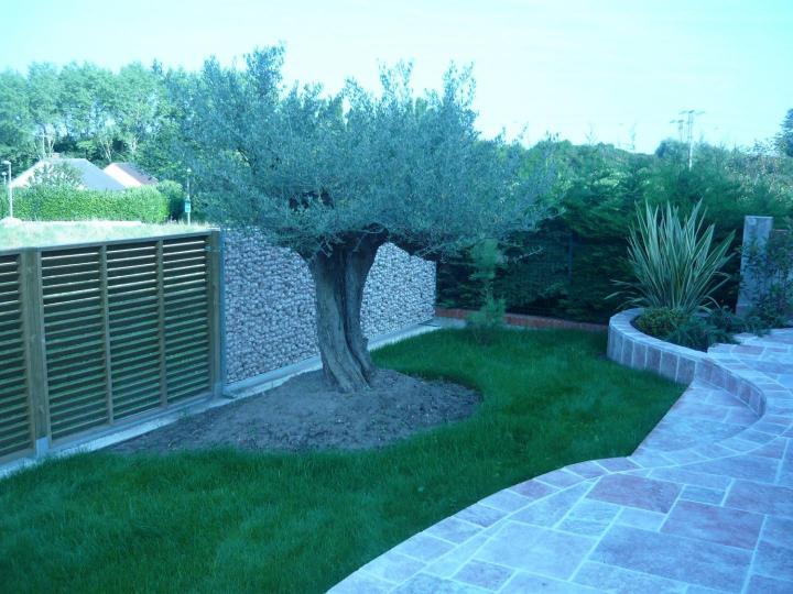 Entretien de jardins Orléans