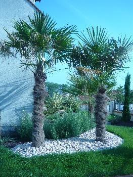 Pose de clôture Orléans